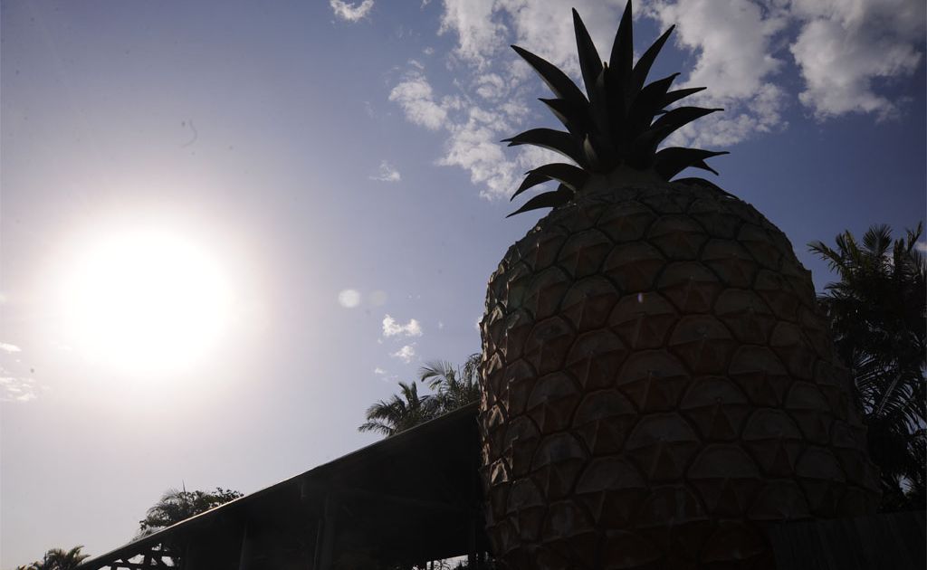 The Big Pineapple on the Sunshine Coast. The Big Pineapple on the Sunshine Coast.