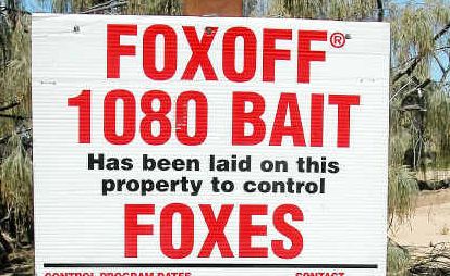 Foxes beware: This beach, just south of Agnes Water, is part of the baiting program to stop foxes attacking turtle nests on The Discovery Coast. Foxes beware: This beach, just south of Agnes Water, is part of the baiting program to stop foxes attacking turtle nests on The Discovery Coast.