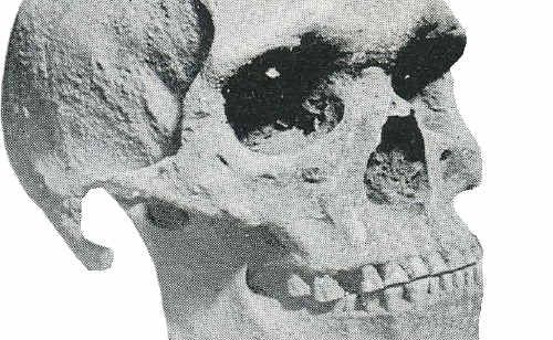 An artist wants human bones... real human bones.