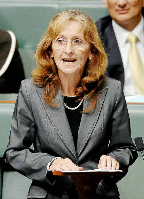 Page MP Janelle Saffin in Parliament. Page MP Janelle Saffin in Parliament.