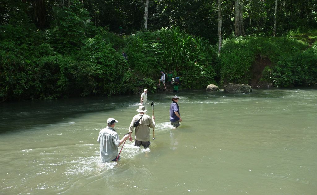 The jungles of Papua New Guinea. The jungles of Papua New Guinea.