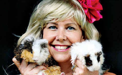 Alison Peeler, visiting with friends from Brisbane, decided to drop by the Bangalow Show and met up with Teddy and Baa Baa, the Texcel guinea pigs. Alison Peeler, visiting with friends from Brisbane, decided to drop by the Bangalow Show and met up with Teddy and Baa Baa, the Texcel guinea pigs.