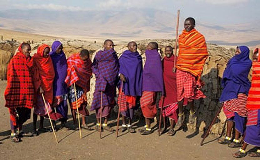 The Masai, traditional tribesmen in Kenya and Tanzania, jump to show off their strength and status. The Masai, traditional tribesmen in Kenya and Tanzania, jump to show off their strength and status.