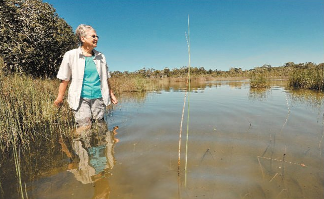Kay Davison on the edge of Hearnes Lake near the proposed development site. Kay Davison on the edge of Hearnes Lake near the proposed development site.