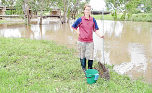 Donna Koina on the banks of the Condamine River at McCahon Bridge yesterday. Donna Koina on the banks of the Condamine River at McCahon Bridge yesterday.