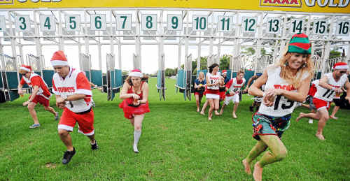 Off and racing: The gates open as 36 Santa Crawl participants try not to spill their beer during the feature race at the Grafton Race Course. Off and racing: The gates open as 36 Santa Crawl participants try not to spill their beer during the feature race at the Grafton Race Course.