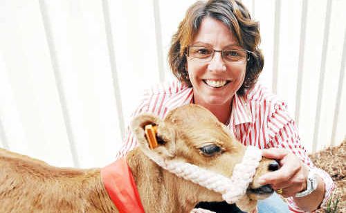 Daily Examiner manager Judy Lewis with her Christmas gift from staff, a jersey calf. Daily Examiner manager Judy Lewis with her Christmas gift from staff, a jersey calf.