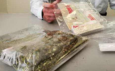 Detective Senior Constable Dean Taylor with some of the drugs seized Detective Senior Constable Dean Taylor with some of the drugs seized