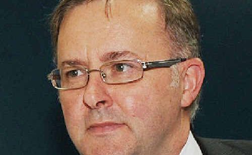 ANTHONY ALBANESE ANTHONY ALBANESE