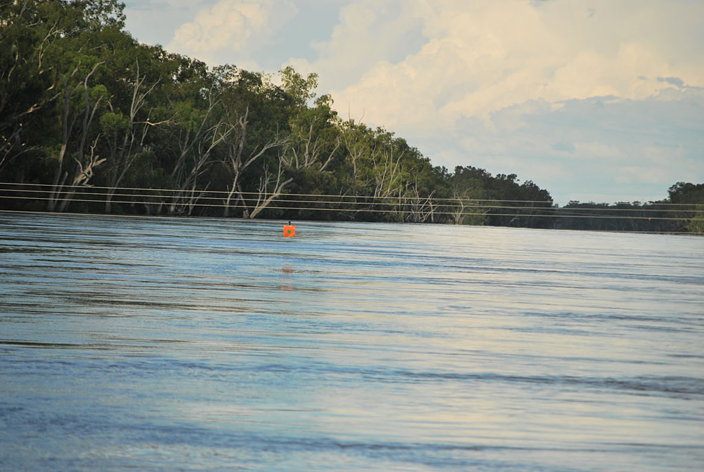 The Balonne River has risen faster than expected. The Balonne River has risen faster than expected.