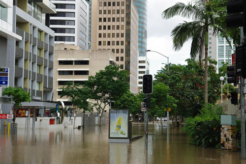 Water built up in Brisbane's stormwater drains before the January flood hit, an experienced water engineer has said. Water built up in Brisbane's stormwater drains before the January flood hit, an experienced water engineer has said.