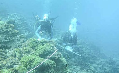 Good signs: Dr Steve Dalton and Dr Andrew Carroll assess bleached coral in the Lord Howe Island Marine Park. Good signs: Dr Steve Dalton and Dr Andrew Carroll assess bleached coral in the Lord Howe Island Marine Park.