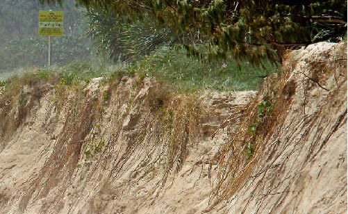 Work begins: Duranbah Beach last fortnight. Work begins: Duranbah Beach last fortnight.