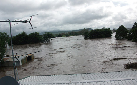 Queensland Health say they will leave no stone unturned in cancer claims but say link to 2011 floods is unlikely Queensland Health say they will leave no stone unturned in cancer claims but say link to 2011 floods is unlikely
