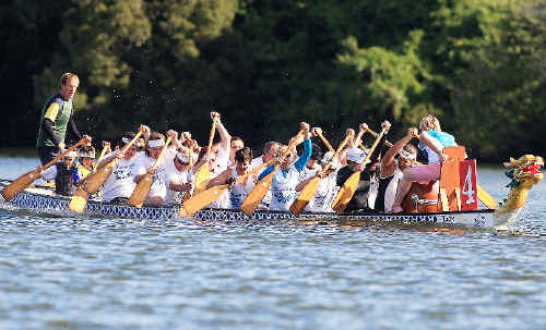 An eager crew paddles hard at the Kids In Need Dragon Boat Regatta. An eager crew paddles hard at the Kids In Need Dragon Boat Regatta.