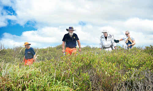 SES volunteers and police search through the area near the Black Rock camping ground looking for objects in relation to the death of a woman last week. SES volunteers and police search through the area near the Black Rock camping ground looking for objects in relation to the death of a woman last week.
