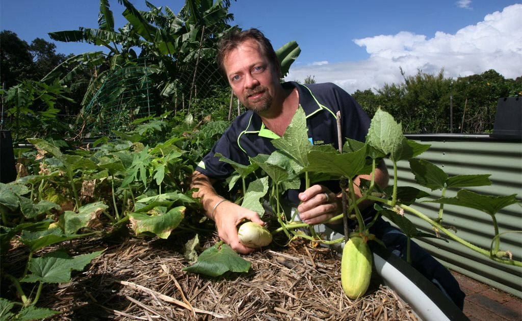 Founder of the Veggie Village and Edible Landscapes Bruce Molloy. Founder of the Veggie Village and Edible Landscapes Bruce Molloy.
