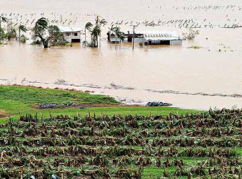 YASI STRIKES: A banana plantation is destroyed outside of Innisfail. AAP Image YASI STRIKES: A banana plantation is destroyed outside of Innisfail. AAP Image