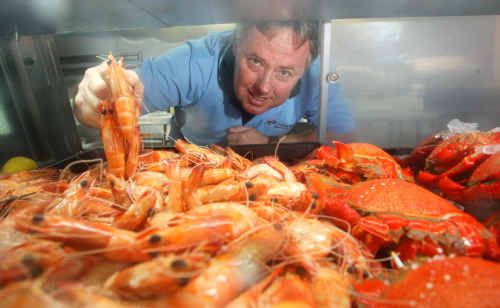 Sunshine Coast QSIA spokesman Paul Higginbottom says the Mooloolaba Prawn is ‘the best in the world’. Sunshine Coast QSIA spokesman Paul Higginbottom says the Mooloolaba Prawn is ‘the best in the world’.