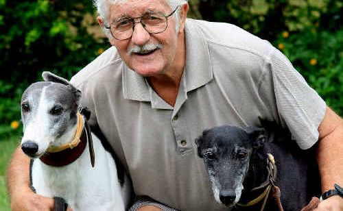 GREYHOUND trainer and supporter of the new Murwillumbah track, Cyril Boylett with his favourites, six-year-old Jazz and 13-year-old Pebbles. GREYHOUND trainer and supporter of the new Murwillumbah track, Cyril Boylett with his favourites, six-year-old Jazz and 13-year-old Pebbles.