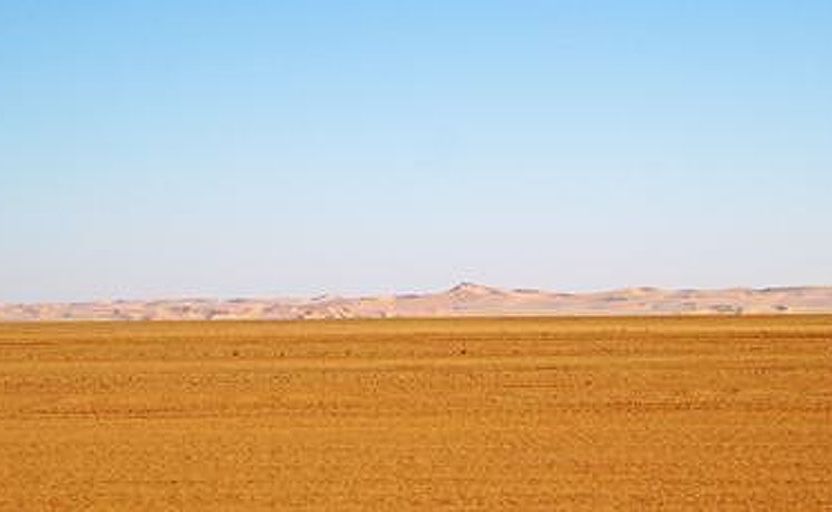 Libya's vast, desolate surroundings hide the remains of an ancient ocean of stone. Libya's vast, desolate surroundings hide the remains of an ancient ocean of stone.
