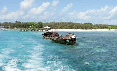 The Heron Island Dive Festival is an official fringe event of the 2011 Underwater Festival. The Heron Island Dive Festival is an official fringe event of the 2011 Underwater Festival.