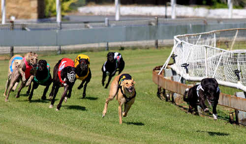 Race 5 winner Charlie Bond. Race 5 winner Charlie Bond.