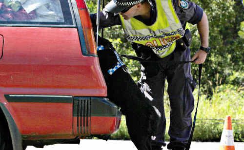 Police searched cars in and around Nimbin on Friday and Saturday, charging 10 people with possession of illicit drugs. Police searched cars in and around Nimbin on Friday and Saturday, charging 10 people with possession of illicit drugs.