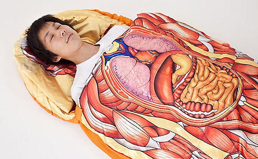 The anatomical sleeping bag was invented by the Japanese. The anatomical sleeping bag was invented by the Japanese.