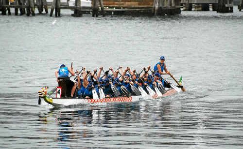 Members of the Grafton Dragon Boat Club do their best at Darling Harbour. Members of the Grafton Dragon Boat Club do their best at Darling Harbour.