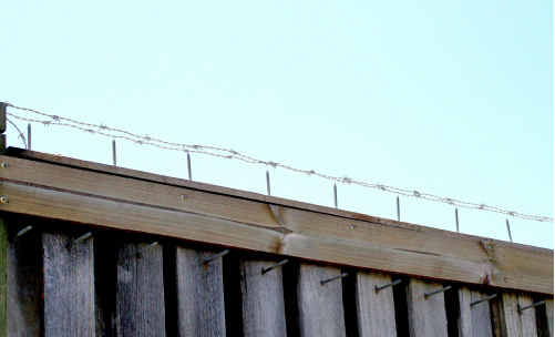 Some residents of the Beachside housing estate at Yamba have fortified their homes to prevent further break-ins. Some residents of the Beachside housing estate at Yamba have fortified their homes to prevent further break-ins.