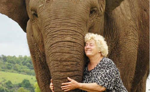 Stardust Circus owner Jan Lennon pictured in Lismore in 2007 with Gigi, one of the two Asiatic elephants they left at the Western Plains Zoo after the other animal, Arna, killed an elephant trainer while the circus was visiting Yamba that same year. Stardust Circus owner Jan Lennon pictured in Lismore in 2007 with Gigi, one of the two Asiatic elephants they left at the Western Plains Zoo after the other animal, Arna, killed an elephant trainer while the circus was visiting Yamba that same year.