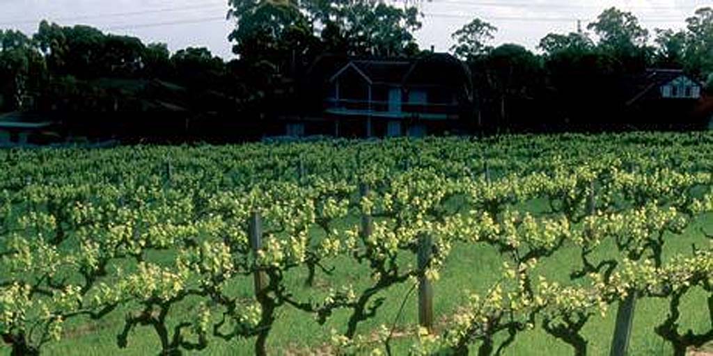 Penfolds Winery in the Barossa Valley. Penfolds Winery in the Barossa Valley.
