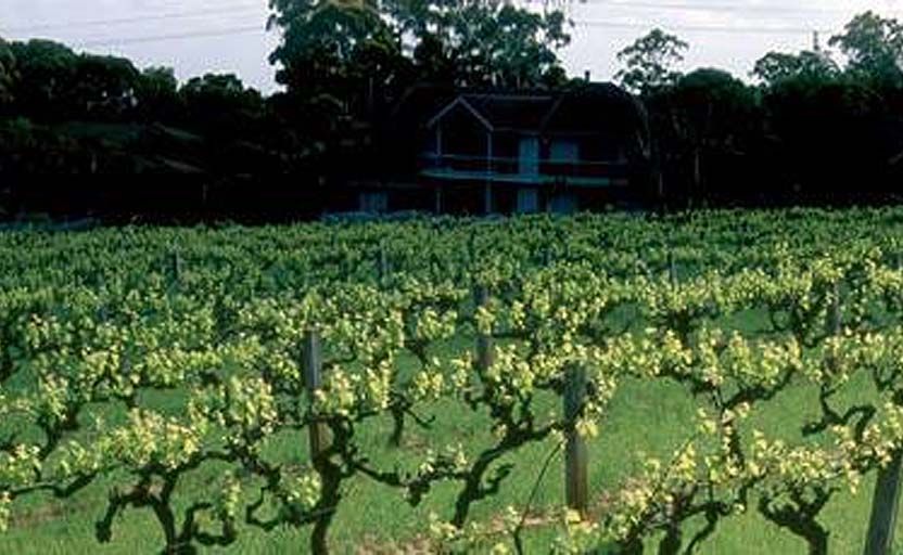 Penfolds Winery in the Barossa Valley. Penfolds Winery in the Barossa Valley.