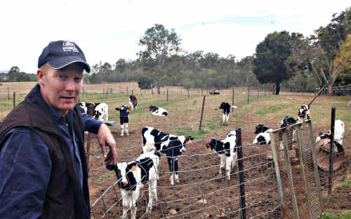 Many dairy farmers are doing it tough in regional Australia. Many dairy farmers are doing it tough in regional Australia.