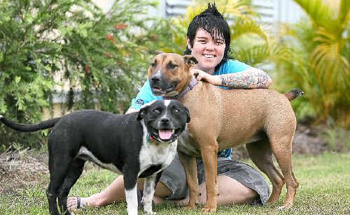 Cindy-Lee Ferricks’ two pet dogs, Scully (left) and Diesel, have interesting names, but the household is ruled by Storm, the cat. Cindy-Lee Ferricks’ two pet dogs, Scully (left) and Diesel, have interesting names, but the household is ruled by Storm, the cat.