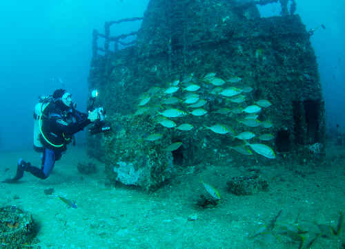 Australian Traveller rates “experiencing” Mount Isa ahead of diving the Brisbane. Australian Traveller rates “experiencing” Mount Isa ahead of diving the Brisbane.
