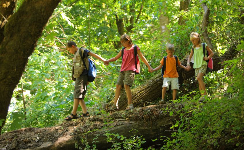Bush walking around the beautiful Tweed is just one cheap and cheerful way to entertain the kids. Bush walking around the beautiful Tweed is just one cheap and cheerful way to entertain the kids.