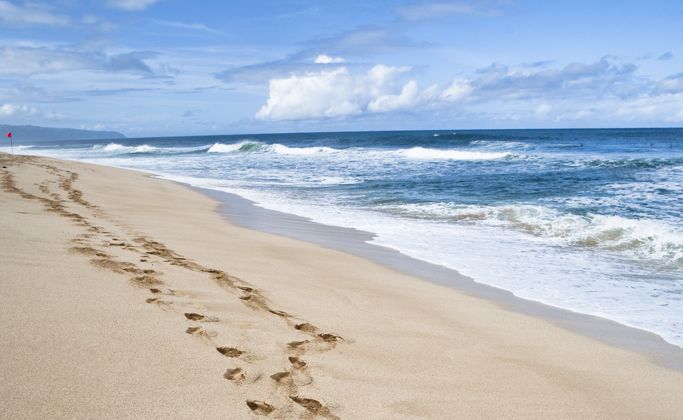 A new website aims to answer the one question asked by millions of would-be-tourists every year - A new website aims to answer the one question asked by millions of would-be-tourists every year -