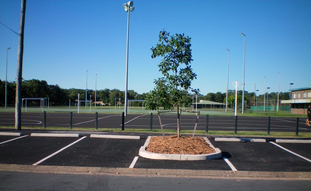 An upgrade to netball courts and parking at Arkinstall Park will give the already popular sport a boost. An upgrade to netball courts and parking at Arkinstall Park will give the already popular sport a boost.