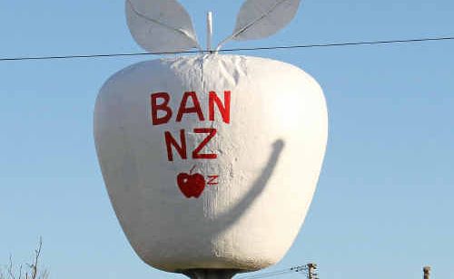 Cheeky painters express their views on New Zealand apples. Cheeky painters express their views on New Zealand apples.