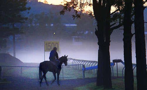 Ipswich horse owners should be vigilant. Ipswich horse owners should be vigilant.