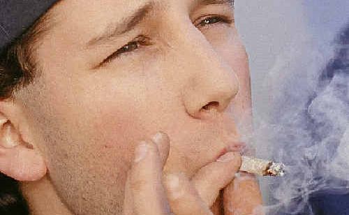 A report by the NSW Auditor General reveals that Byron Shire and Lismore LGAs took the second and third spots for highest number of cannabis possession offences in the State. A report by the NSW Auditor General reveals that Byron Shire and Lismore LGAs took the second and third spots for highest number of cannabis possession offences in the State.
