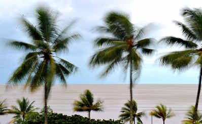 Winds of up to 250kmh thrashed Cairns during the devastating severe tropical Cyclone Yasi on February 2. Winds of up to 250kmh thrashed Cairns during the devastating severe tropical Cyclone Yasi on February 2.