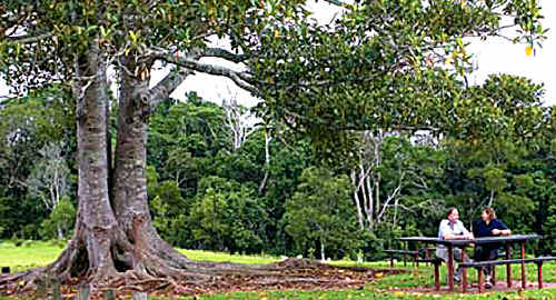 NATURAL BEAUTY: Ravensbourne National Park has become an attraction for visitors. NATURAL BEAUTY: Ravensbourne National Park has become an attraction for visitors.