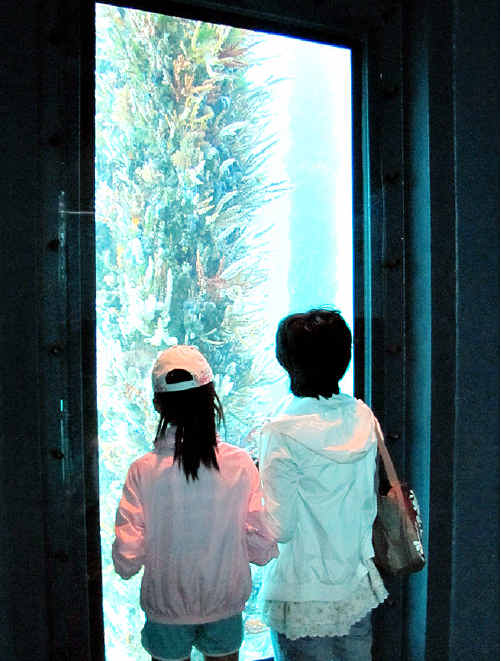 GARDEN OF EDEN: Tourists are mesmerised by the colours. GARDEN OF EDEN: Tourists are mesmerised by the colours.