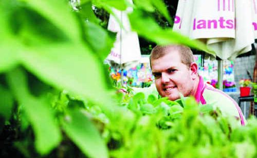 Jody Sime of Plants Plus takes a closer look at the nursery’s fresh herb range. Jody Sime of Plants Plus takes a closer look at the nursery’s fresh herb range.