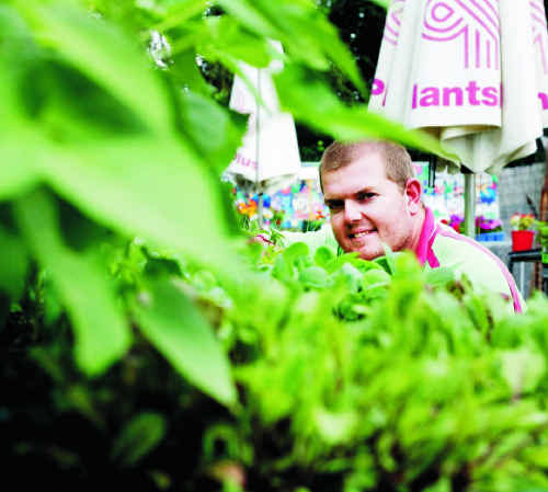 Jody Sime of Plants Plus takes a closer look at the nursery’s fresh herb range. Jody Sime of Plants Plus takes a closer look at the nursery’s fresh herb range.