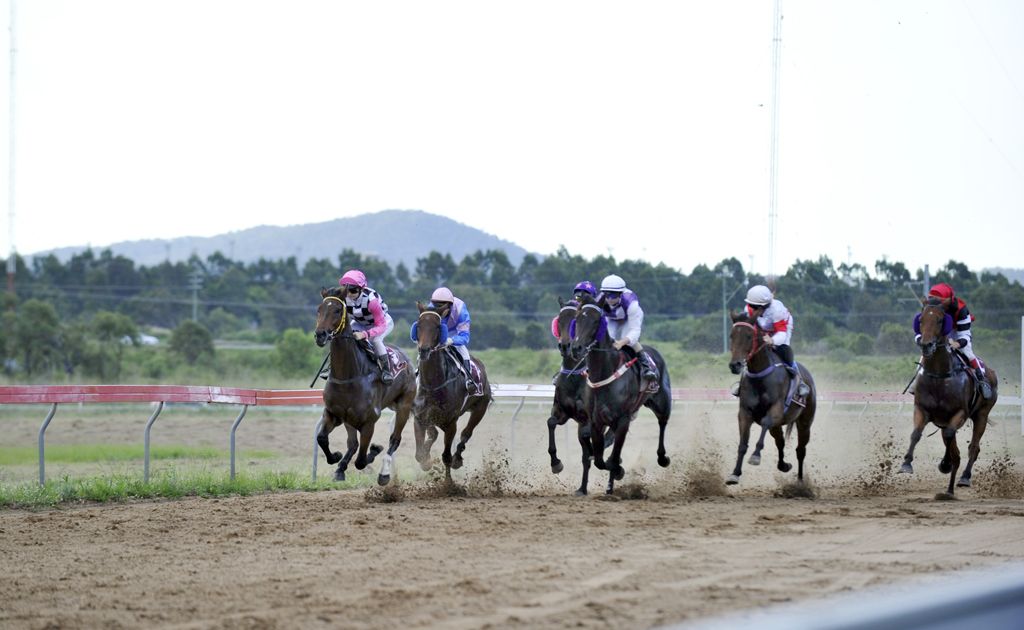Horse racing. File photo. Horse racing. File photo.