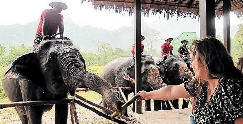Meeting an elephant in Thailand.